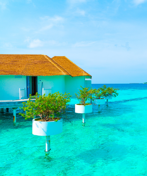 Maldives holiday packages