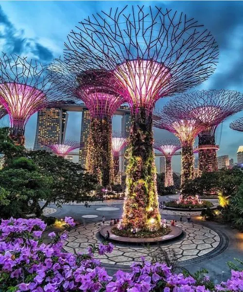 Singapore Flyer Ferris wheel with city lights – Singapore Tour Packages