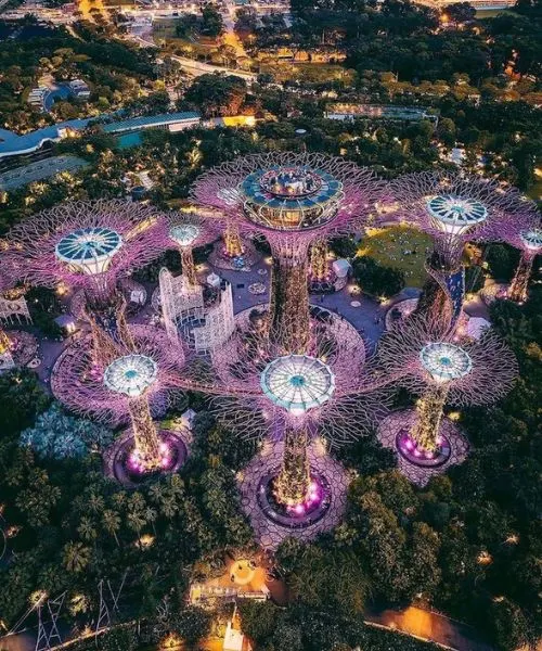 Aerial view of Gardens by the Bay Supertree Grove illuminated at night – Singapore Tour Packages from Lucknow.