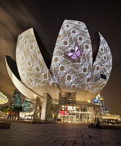 Untitled design (12)