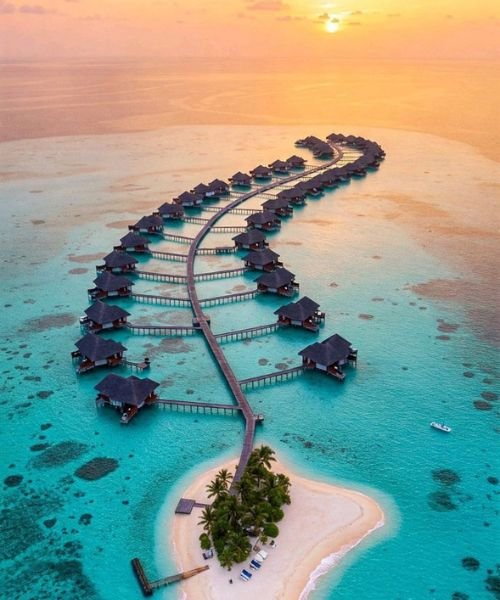 Untitled design (17)