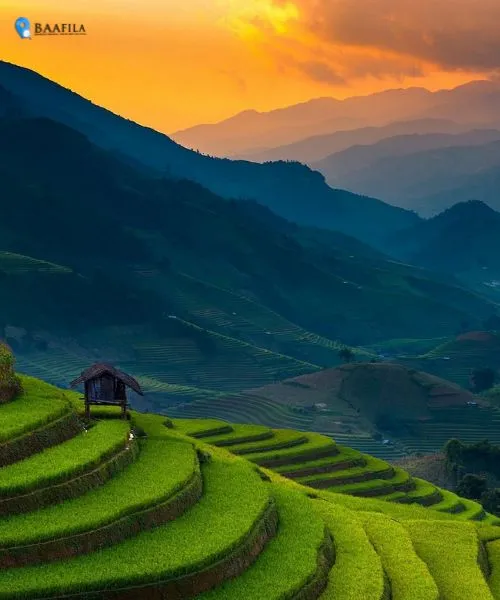 Best Vietnam Packages from Lucknow (3)