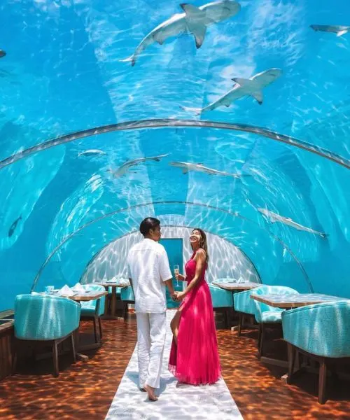 Maldives tour package