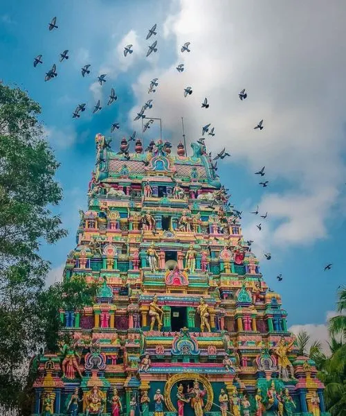 ntricate Dravidian temple architecture in South India – Cultural exploration with South India Packages.