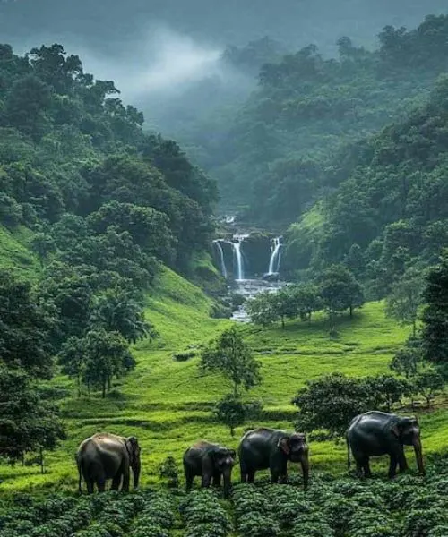 South India Packages