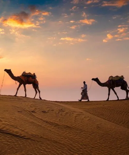 Camel safari at sunset in the Rajasthan desert near Jaipur, offering an authentic cultural experience commonly included in a Jaipur tour package.