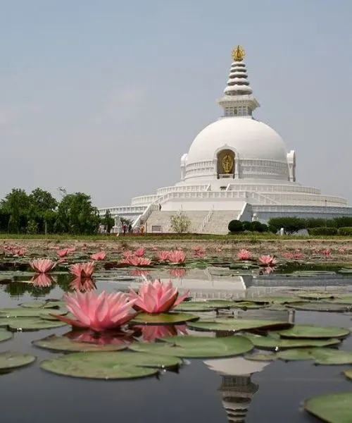 Nepal tour package showcasing the World Peace Pagoda with lotus pond and serene landscape