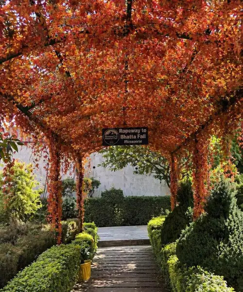 Mussoorie Tour Package