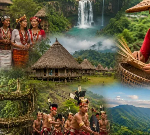 Best Time to Visit Meghalaya for an Unforgettable Experience